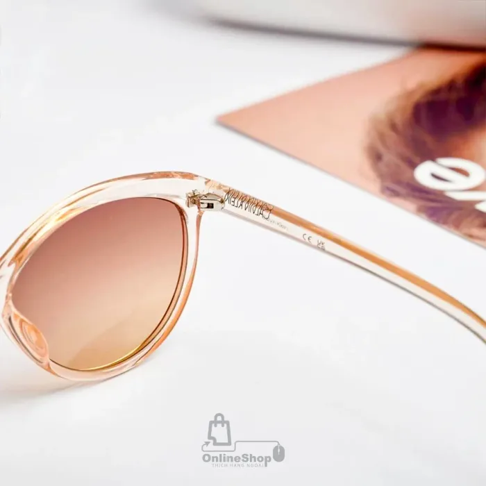 Thiết kế Kính Mát Nữ Calvin Klein Brown Cat Eye Ladies Sunglasses CK19534S 270 58-hang-ngoai-nhap