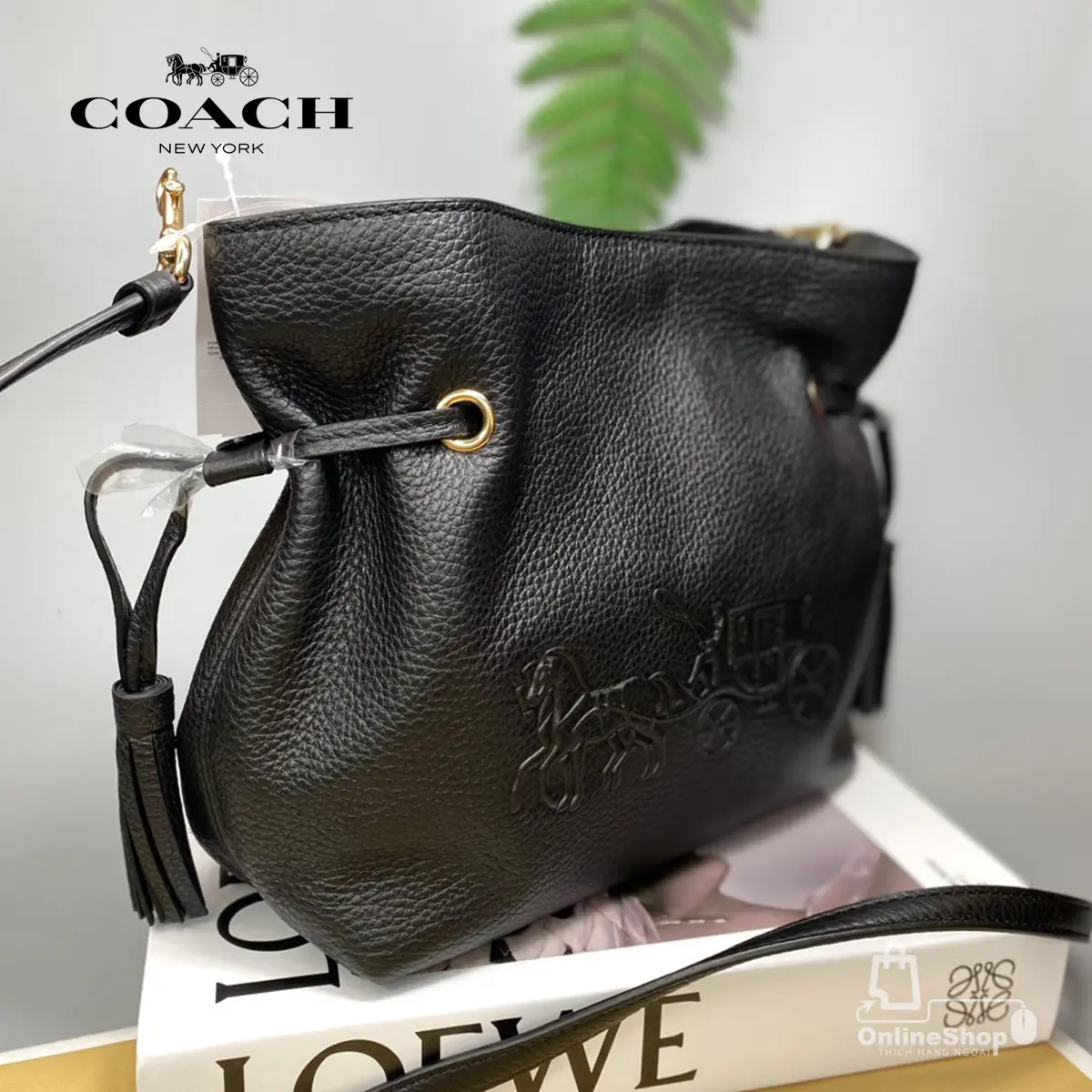 Túi Xách Tay Nữ Hàng Hiệu Coach Andy Crossbody With Horse And Carriage CA213 | USA-hang-ngoai-nhap