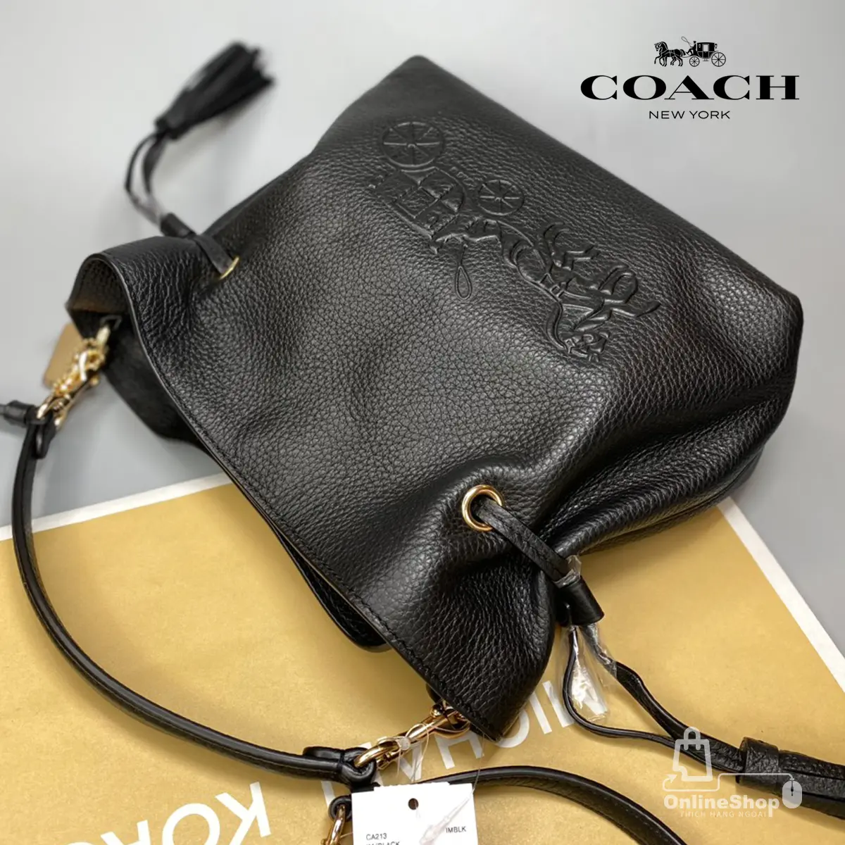 Túi Xách Tay Nữ Authentic Coach Andy Crossbody With Horse And Carriage CA213 | USA-hang-ngoai-nhap