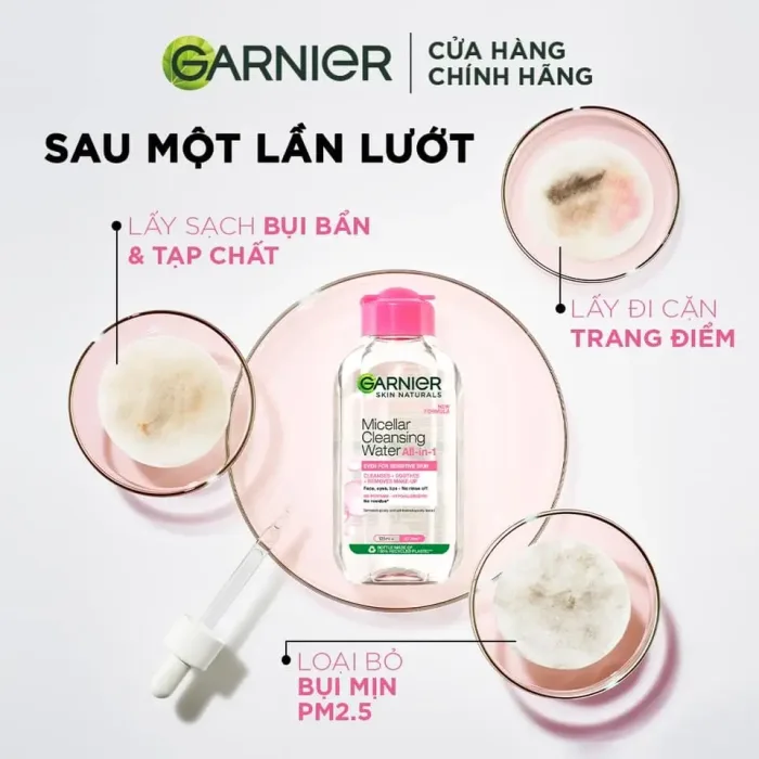 Thành phần Nước Tẩy Trang Garnier